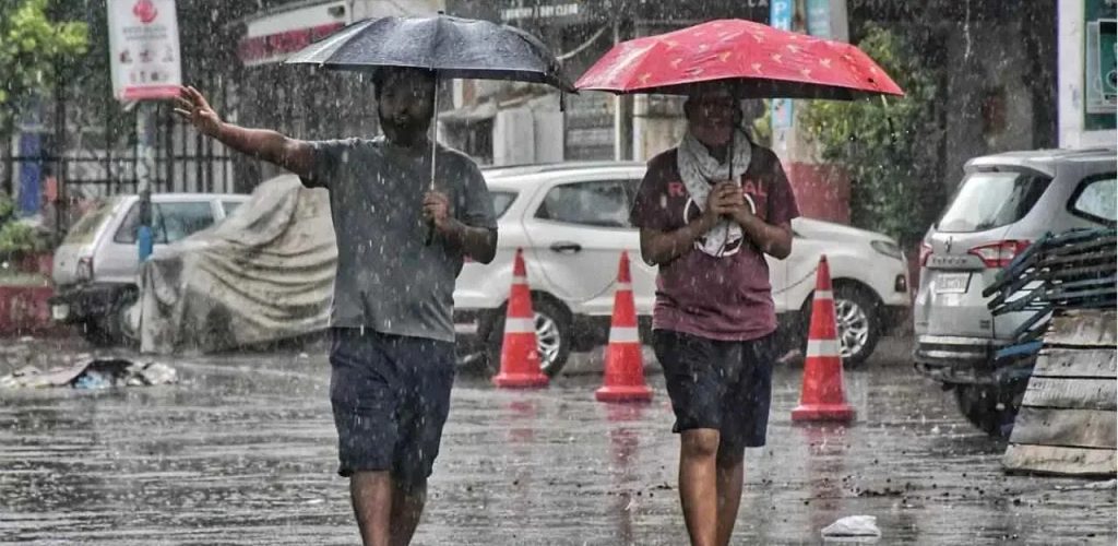 WhatsApp Image 2025-06-21 at 12.38.53 PM